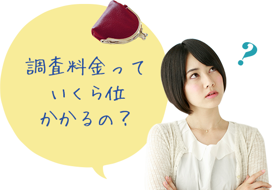 調査料金っていくら位かかるの?